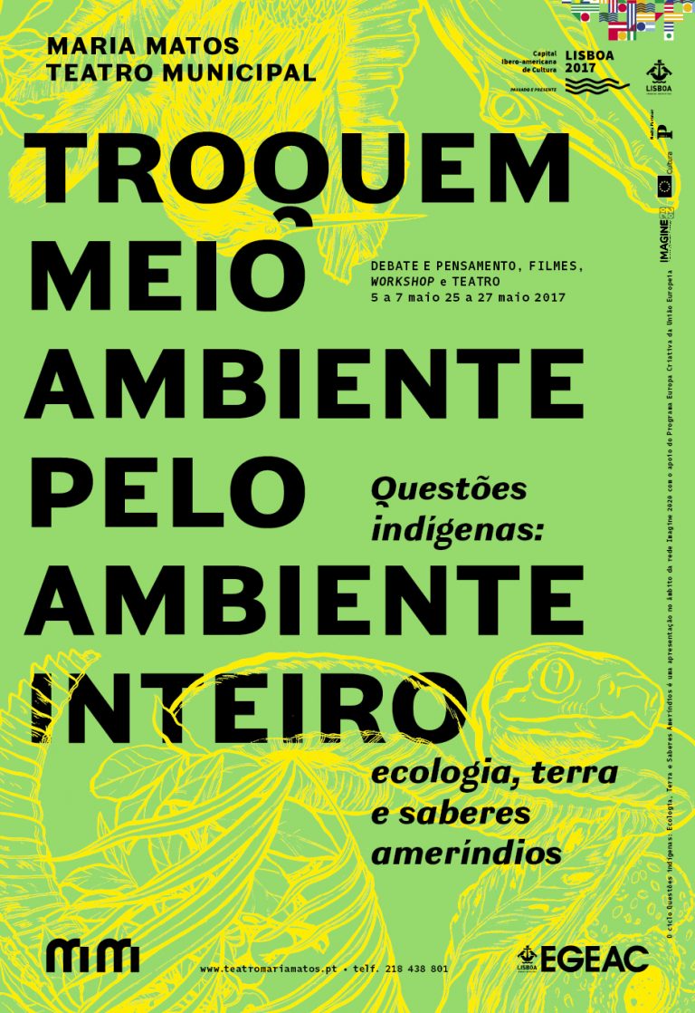cartaz-questoes-indigenas-3